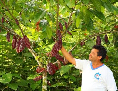 Green Your Halloween Image